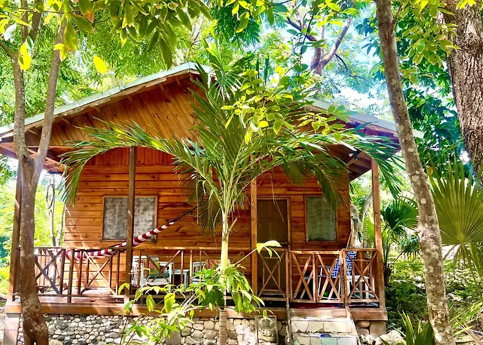 5 Different Sea Side Cottages In Tropical Garden